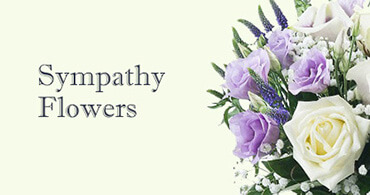 Elephant and Castle Sympathy Flowers