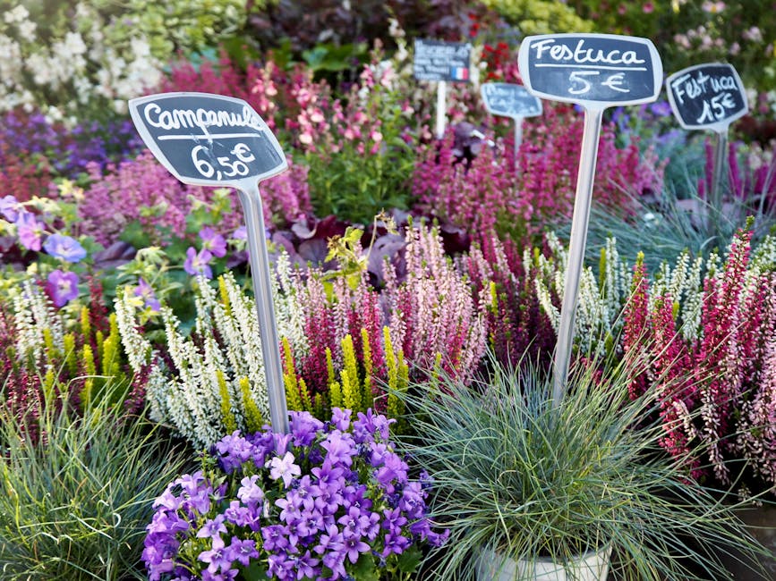 A vibrant display of flowers at a plant nursery, featuring a variety of flowering plants such as purple and white heathers, lavender, and purple petunias arranged in pots and beds. Price signs on dark